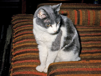 Baby, sitting on my father's chair without him in it.